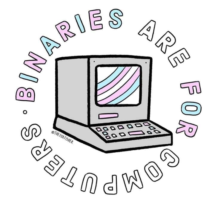 drawing of an old style computer with a trans flag on the screen and the text "Binaries are for Computers" around it by @thefoxfisher