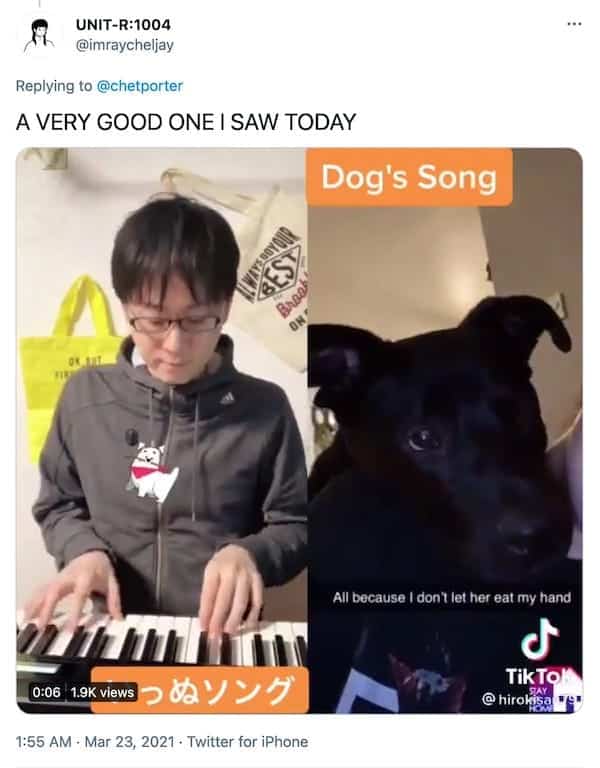 screenshot of a tweet from @imraycheljay that reads "A VERY GOOD ONE I SAW TODAY" along with a TikTok video of a dog whining and a person playing piano along with the dog