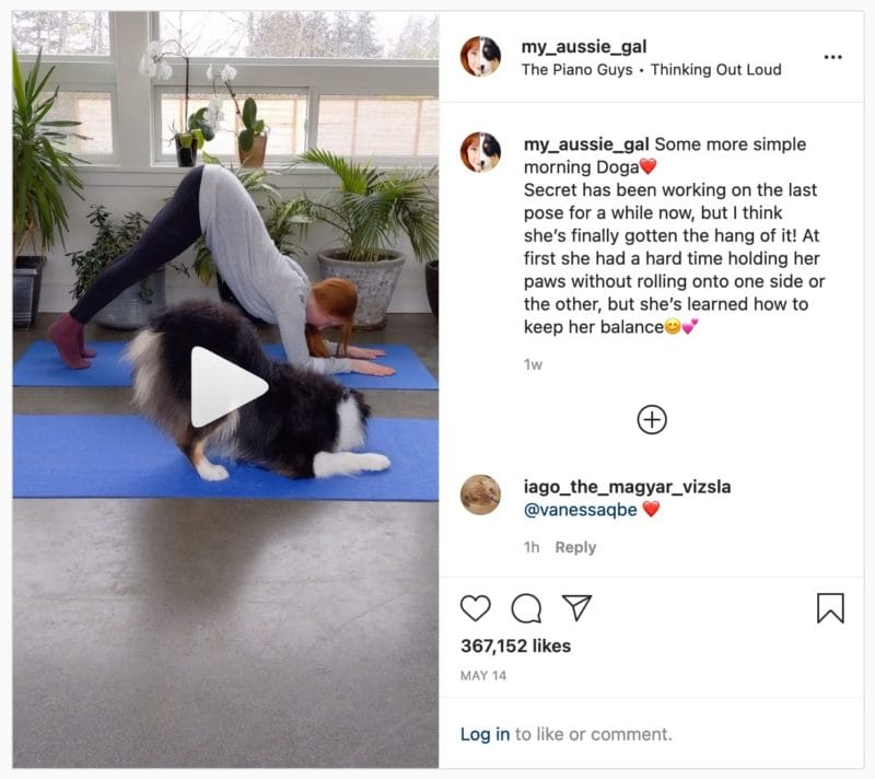 Instagram post from my_aussie_gal
 showing a woman doing yoga with her dog