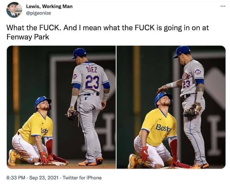 tweet from @pigeonize that reads, "What the FUCK. And I mean what the FUCK is going in on at Fenway Park". The tweet includes two pictures. the first shows a player for one team crouching and looking up at a player from another team. The first is making a duck lips face. The second picture shows the standing player rubbing the helmet of the crouching player, who is smiling and looking up, like a dog.