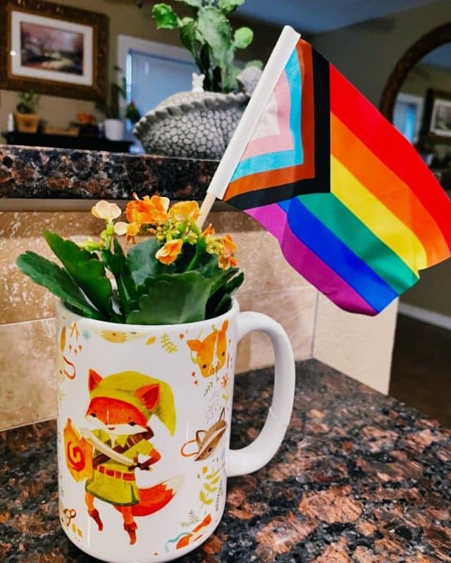 a mug with a fox dressed as Link from Legend of Zelda on it, surrounded by animal masks. Parts of the mug are chipped and glued back together. The mug has a progress pride flag in it and a flowering plant.