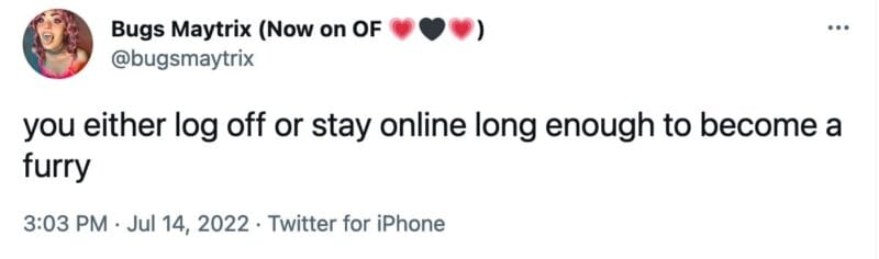 tweet from @bugsmaytrix that reads, "you either log off or stay online long enough to become a furry"