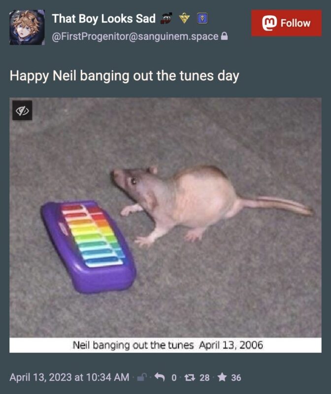 Mastodon post from FirstProgenitor@sanguinem.space
that reads, "Happy Neil banging out the tunes day". There is a picture of a rodent with a tiny rainbow keyboard and the text, "Neil banging out the tunes April 13, 2006"