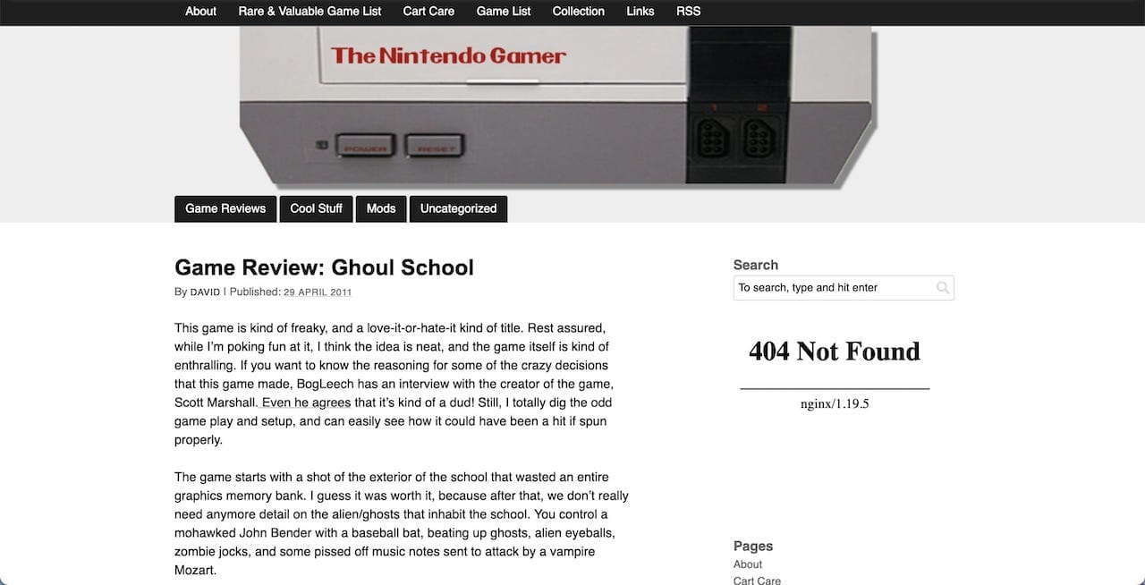 screenshot of the website The Nintendo Gamer via the Internet Archive Wayback Machine